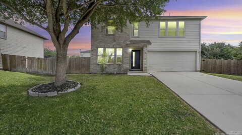 Archer, NEW BRAUNFELS, TX 78132