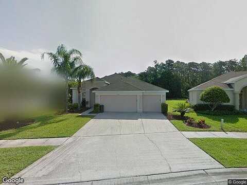 Corkwood, TAMPA, FL 33626