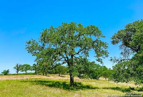 Loma Vista, KERRVILLE, TX 78028