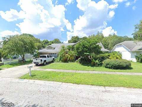 Windbrush, TAMPA, FL 33625