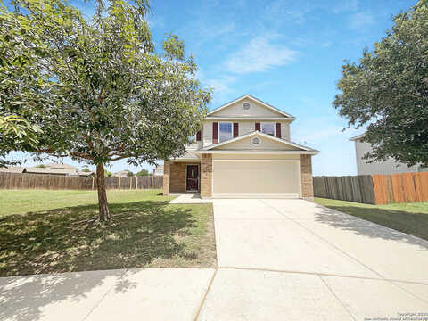 Painted, SCHERTZ, TX 78154