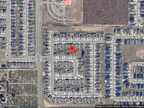 Saguaro, HAINES CITY, FL 33844