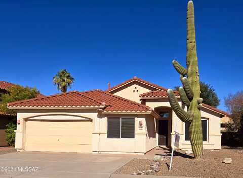 Autumn Sage, TUCSON, AZ 85747