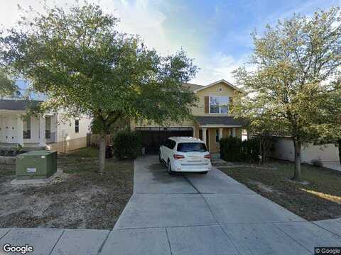 Daffodil, SAN ANTONIO, TX 78245