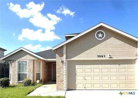 Latigo, KILLEEN, TX 76549