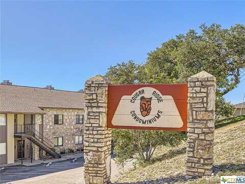 Cougar Dr, Canyon Lake, TX 78133