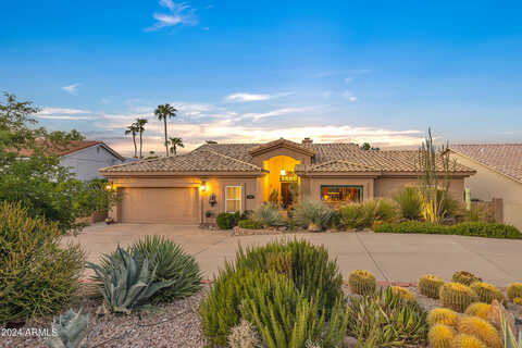 Cholla, FOUNTAIN HILLS, AZ 85268