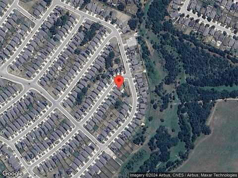Yucca, SAN ANTONIO, TX 78253
