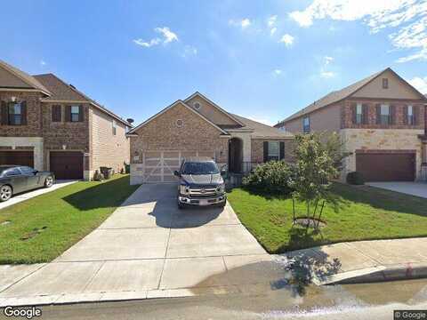 Clematis, SAN ANTONIO, TX 78218