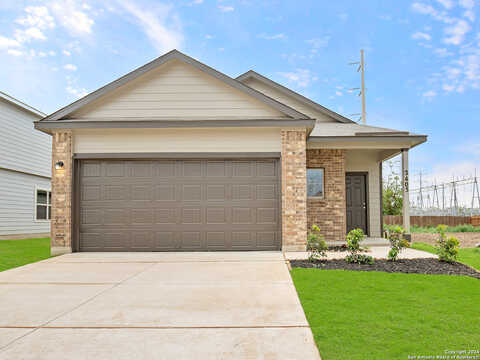Dino, SEGUIN, TX 78155