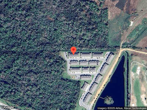 Yellow Finch, DAVENPORT, FL 33837