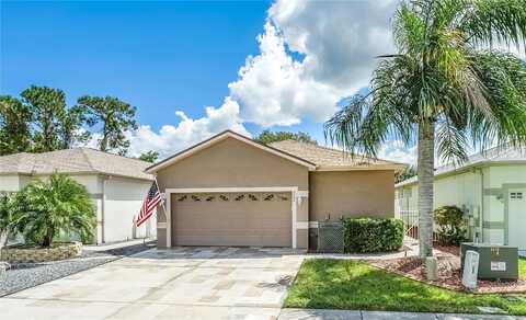 Sanguinelli, LAND O LAKES, FL 34637