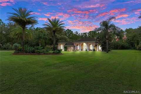 Buckhorn, BEVERLY HILLS, FL 34465