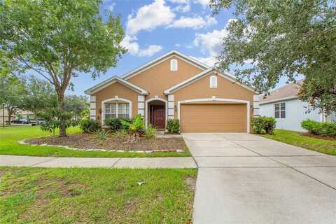 Celtic Ash, RUSKIN, FL 33573