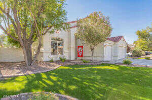 Betsy, GILBERT, AZ 85296