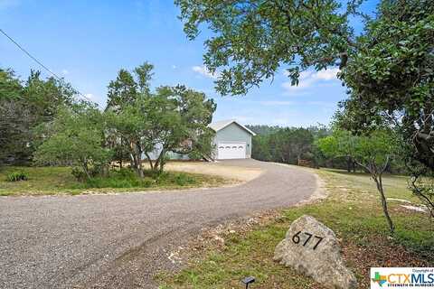 Possum Tree, FISCHER, TX 78623