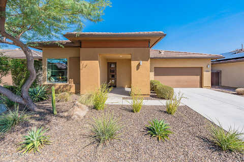 Hummingbird, PEORIA, AZ 85383