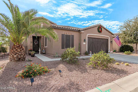 Mallard, MARICOPA, AZ 85138