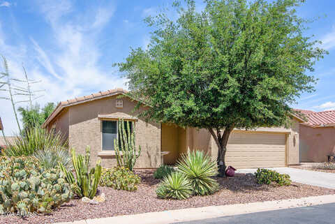 Darter, MARICOPA, AZ 85138