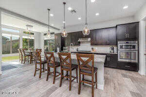 Appaloosa, GILBERT, AZ 85296