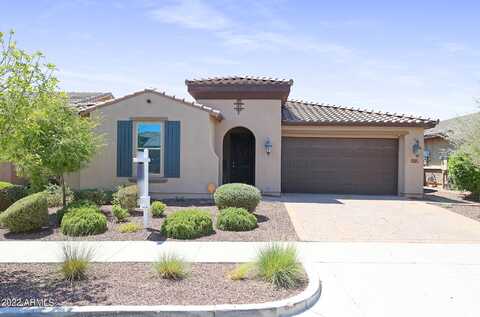 Briarwood, BUCKEYE, AZ 85396