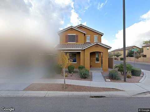 Moccasin, GILBERT, AZ 85295