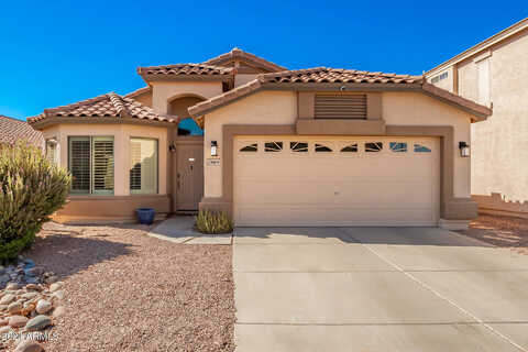 Desert Willow, SAN TAN VALLEY, AZ 85143