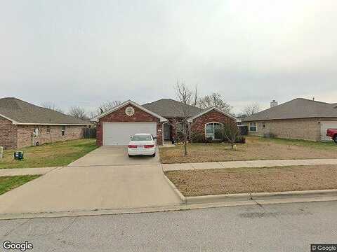 Bachelor Button, KILLEEN, TX 76549