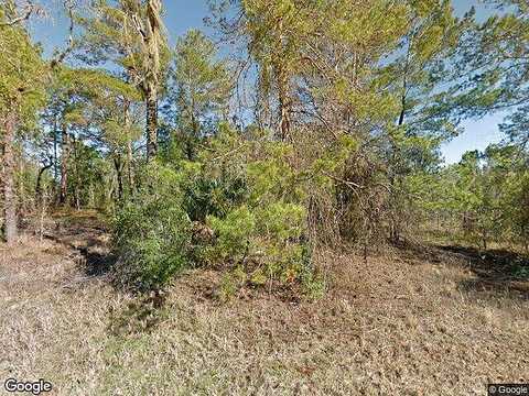 Ne 130Th Ave, WILLISTON, FL 32696