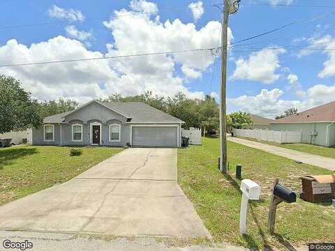 Manatee, Kissimmee, FL 34759