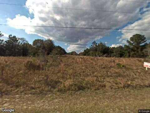 Se 42Nd Ter, Summerfield, FL 34491