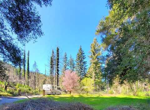 Big Basin, BOULDER CREEK, CA 95006