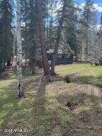 County Road 1007 -- #6, Greer, AZ 85927