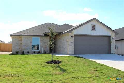 Flatland, Temple, TX 76502