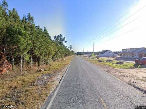 Lanier Rd, Ludowici, GA 31316