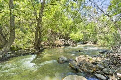 Shady, IDLEDALE, CO 80453