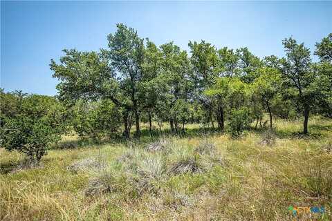 Steel Creek Crest, Other, TX 78010