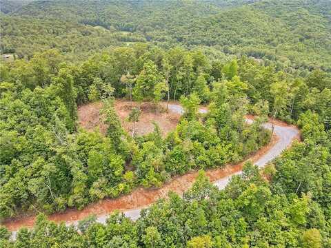 Tom Wheeler Road, Hiawassee, GA 30546