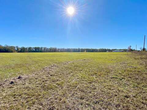 Tbd Reese Road / Louisville Road, Groveton, TX 75845