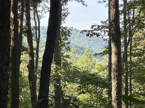 Lt. 27 Tanager Trail, Ellijay, GA 30540