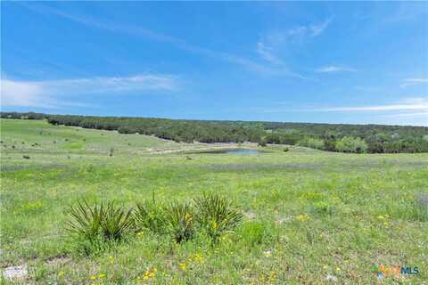 Lot 4 Cr 207, Burnet, TX 78611