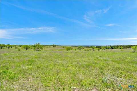 Lot 1 Cr 207, Burnet, TX 78611