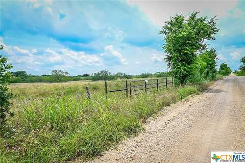 County Road 447, Waelder, TX 78959