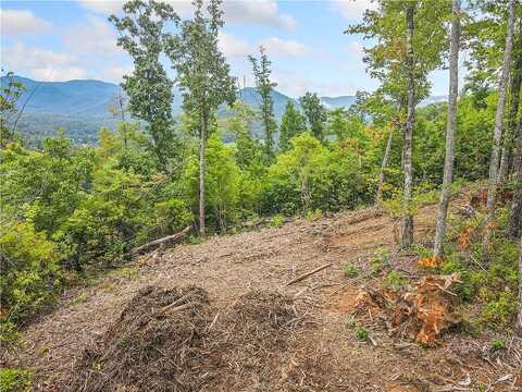 Tom Wheeler Road, Hiawassee, GA 30546