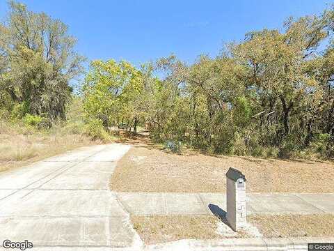 Hammock Ridge, CLERMONT, FL 34711