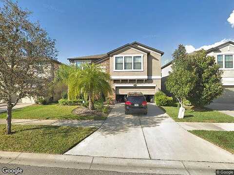 Palmetto Pine, RIVERVIEW, FL 33569