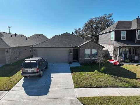 Colossal Oak, HOUSTON, TX 77066