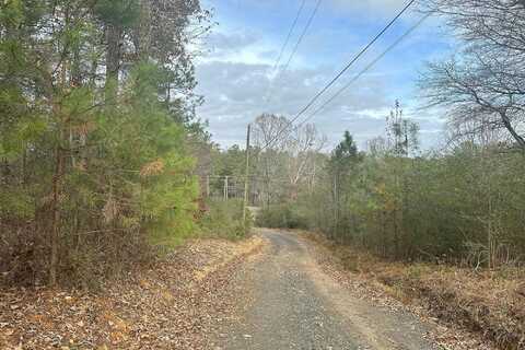 Miller Ferry, ADAIRSVILLE, GA 30103