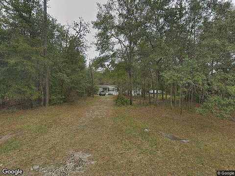 Dolphin, MIDDLEBURG, FL 32068