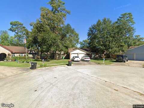 Fern Hill, SPRING, TX 77373